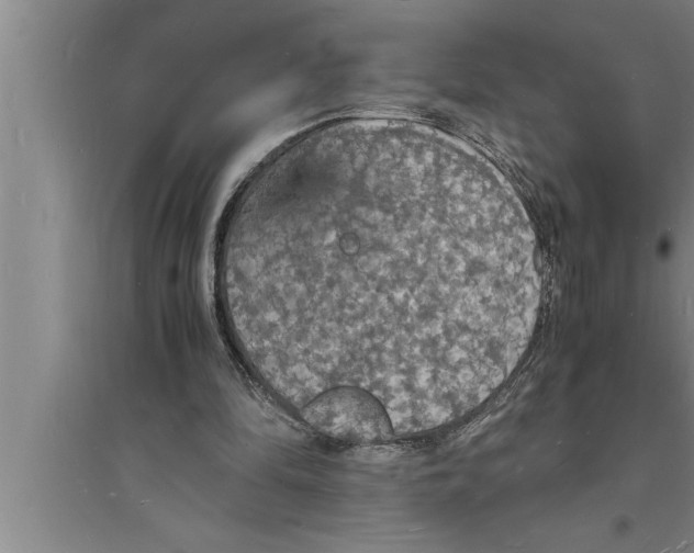 X0000094060294200711161531