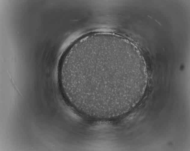 X0000094060296200711161531