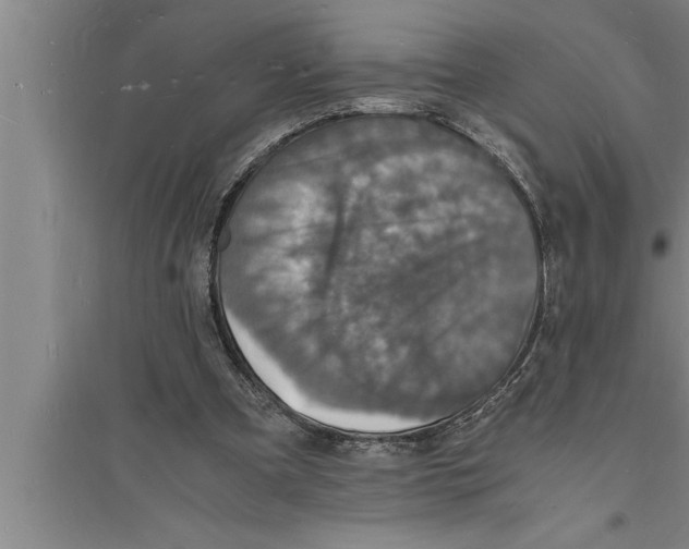 X0000094060297200711161531