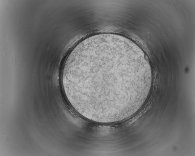 X0000094060298200711161531