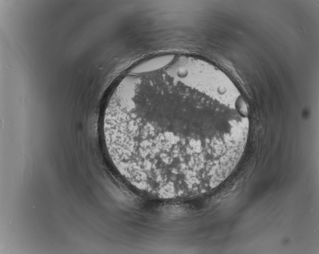 X0000094060299200711161531