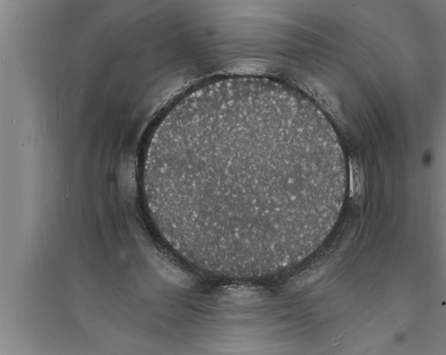 X0000094060300200711161531