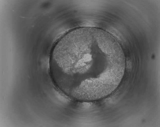 X0000094060302200711161531