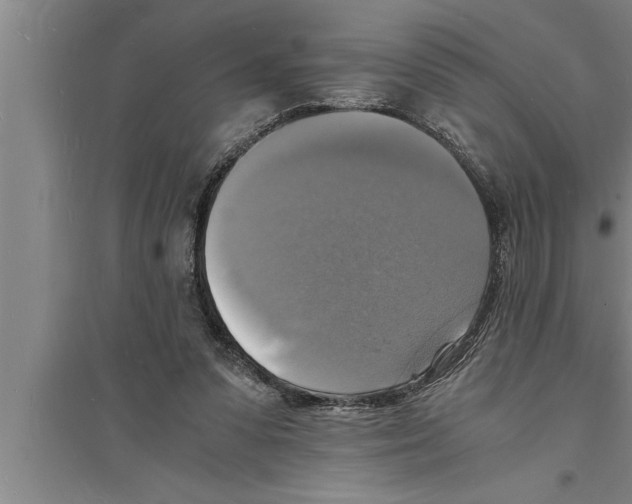 X0000094060303200711161531