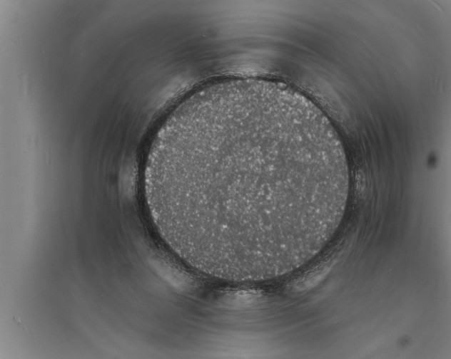 X0000094060304200711161531