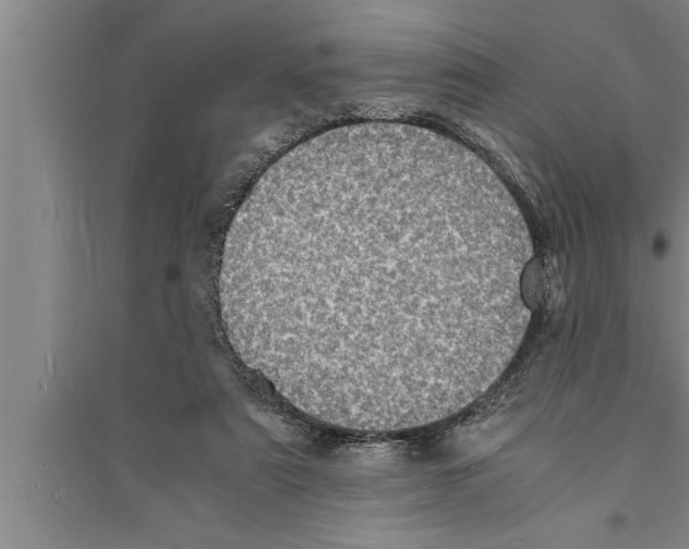 X0000094060307200711161531