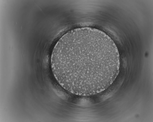 X0000094060308200711161531