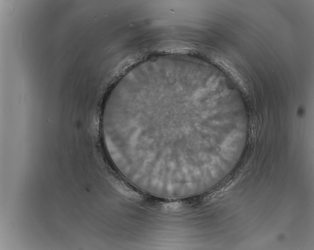 X0000094060309200711161531