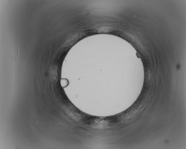 X0000094060311200711161531