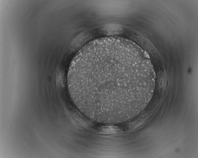 X0000094060316200711161530