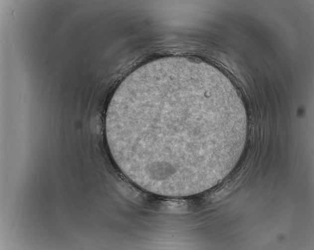 X0000094060317200711161530