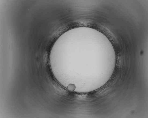 X0000094060318200711161530