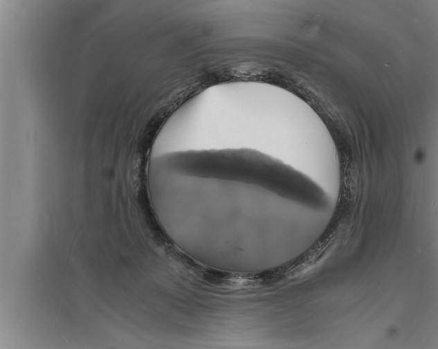 X0000094060319200711161530