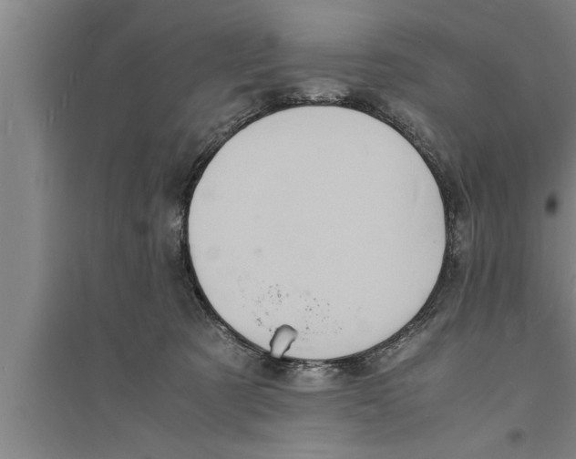 X0000094060321200711161530