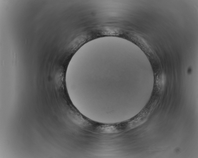 X0000094060322200711161530