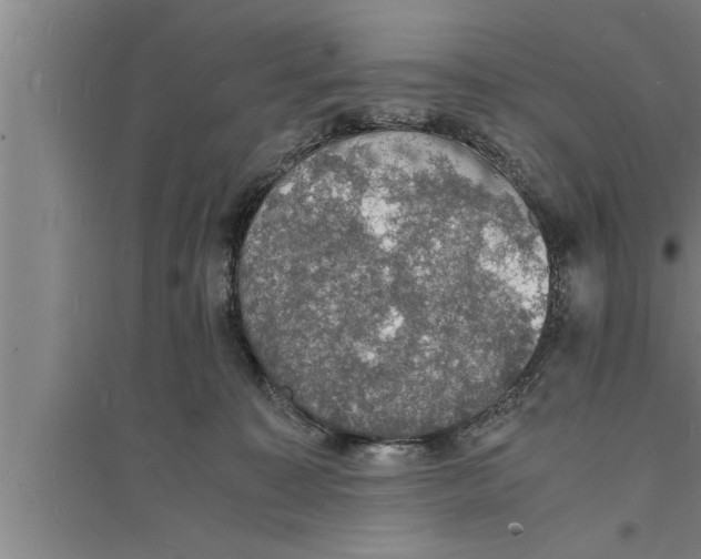 X0000094060323200711161530