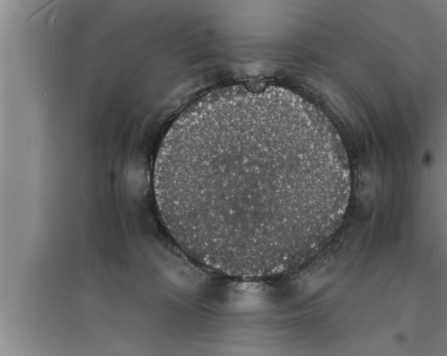 X0000094060324200711161530