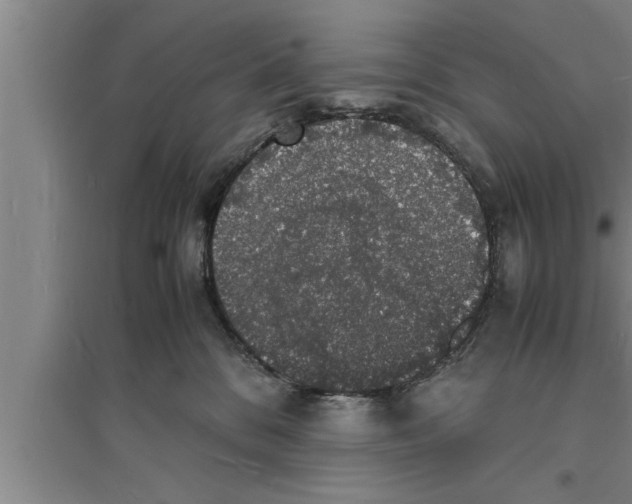 X0000094060328200711161530