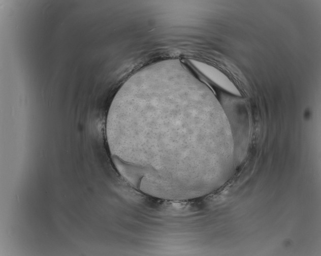 X0000094060329200711161530