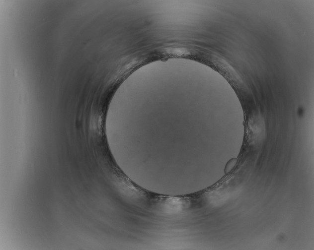 X0000094060330200711161530