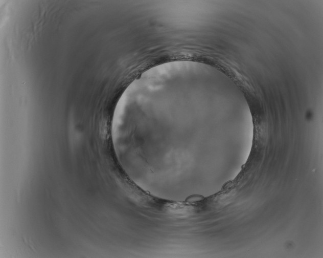 X0000094060331200711161530