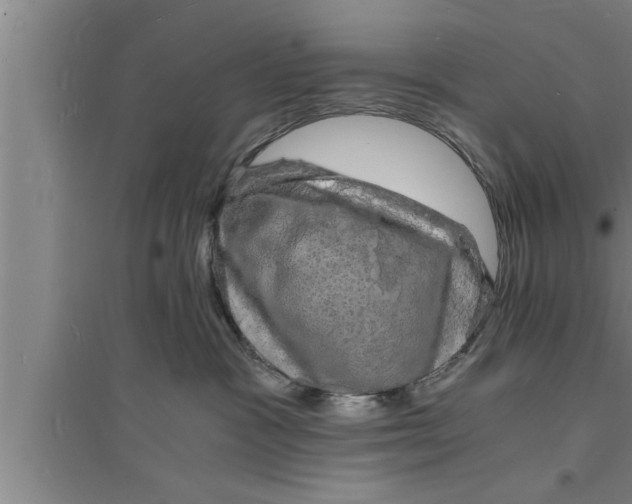 X0000094060333200711161530