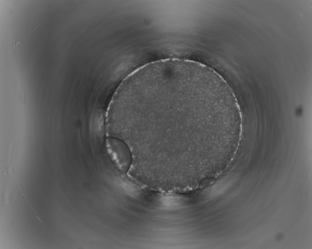 X0000094060336200711161530