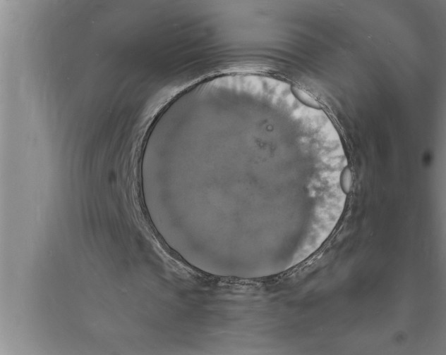 X0000094060337200711161529