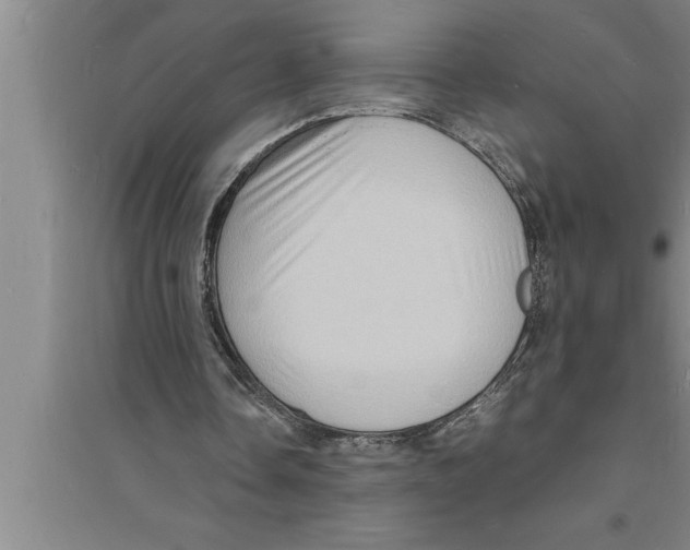 X0000094060338200711161529