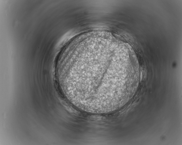 X0000094060339200711161529