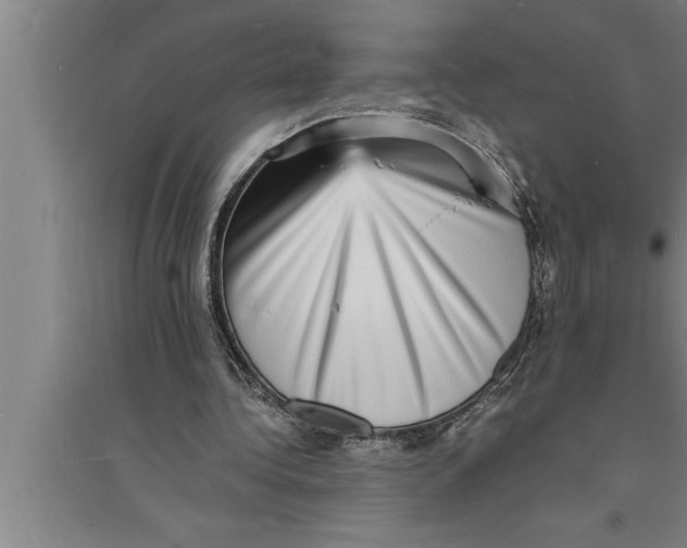 X0000094060340200711161529