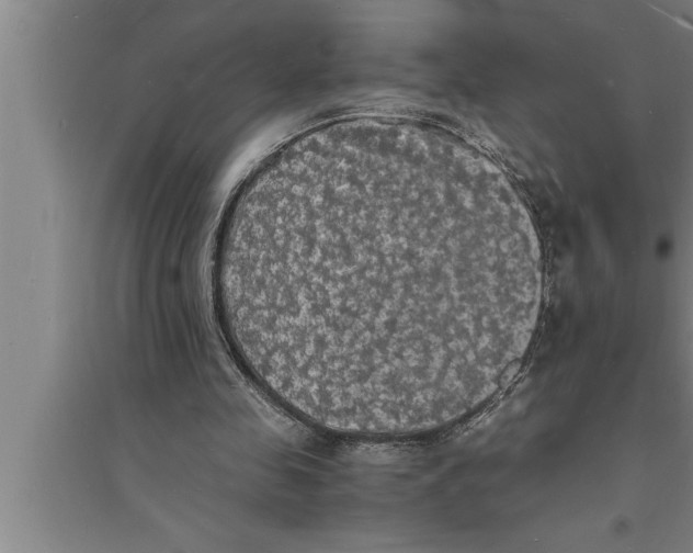 X0000094060341200711161529