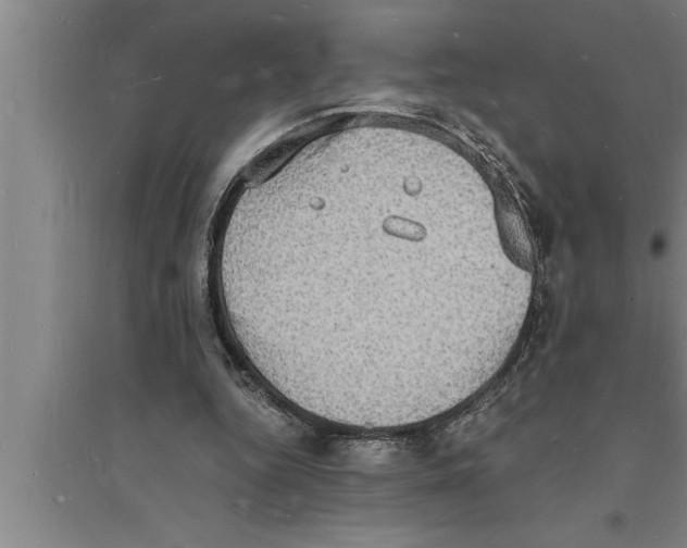 X0000094060344200711161529