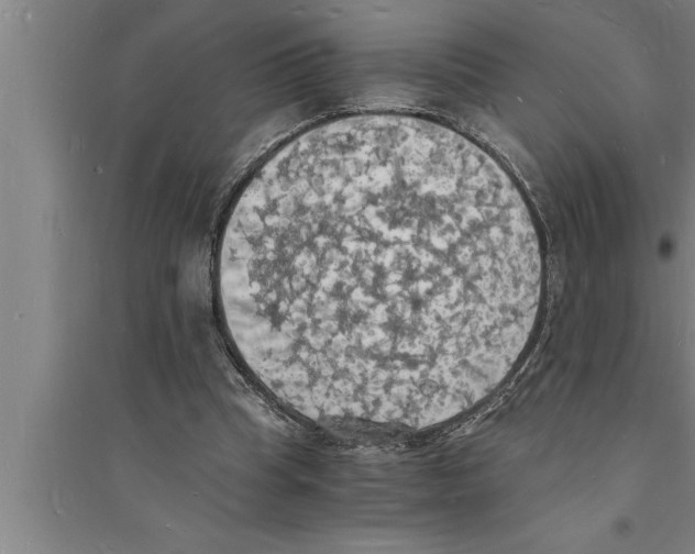 X0000094060345200711161529