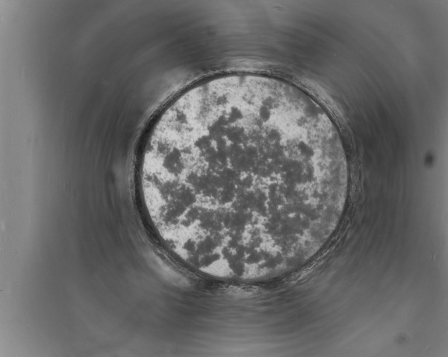 X0000094060346200711161530