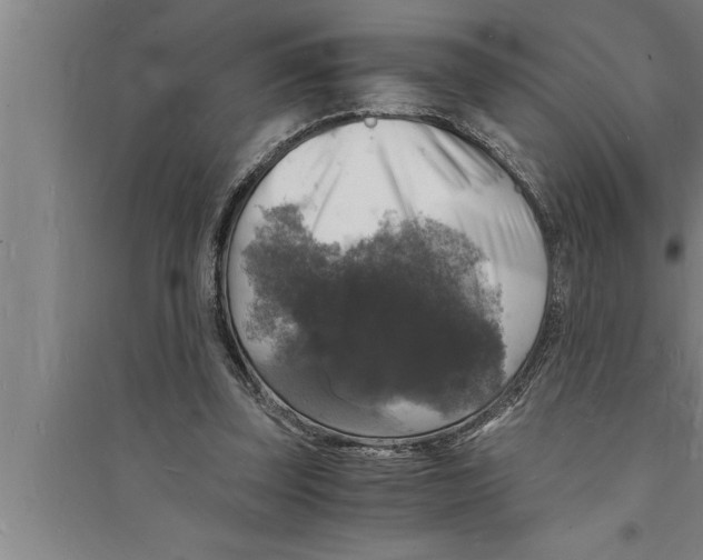 X0000094060347200711161530