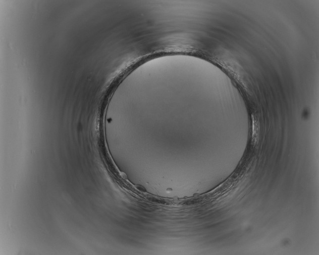 X0000094060348200711161530