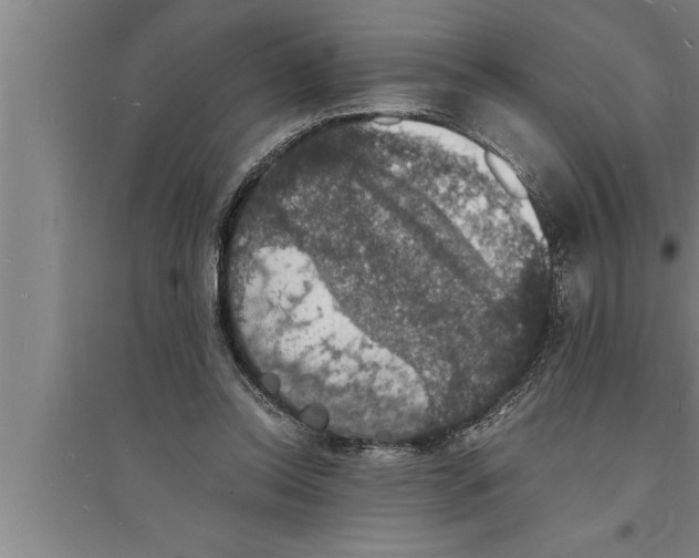 X0000094060350200711161530