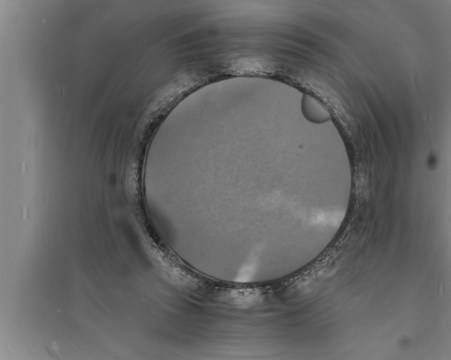 X0000094060353200711161530