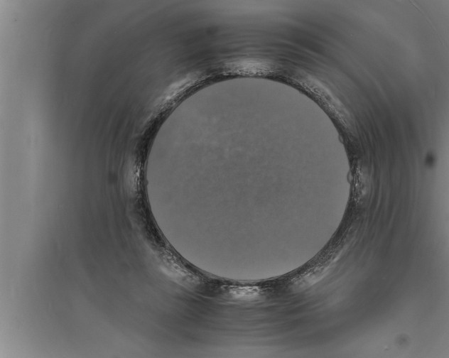 X0000094060355200711161530