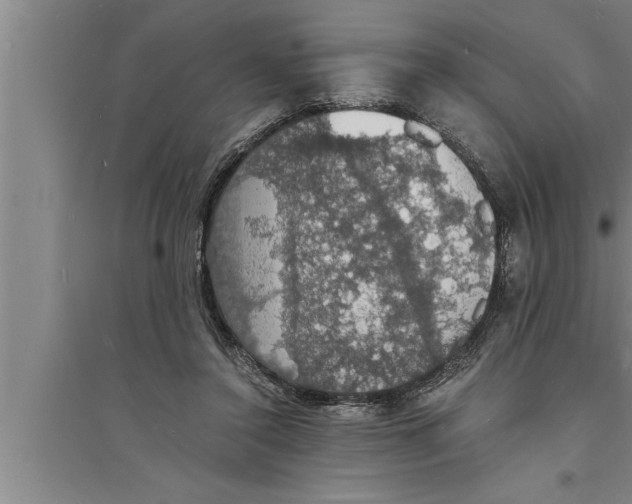 X0000094060356200711161530