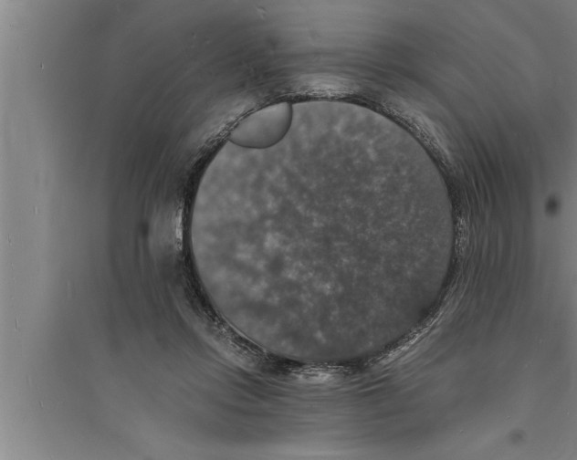 X0000094060358200711161530