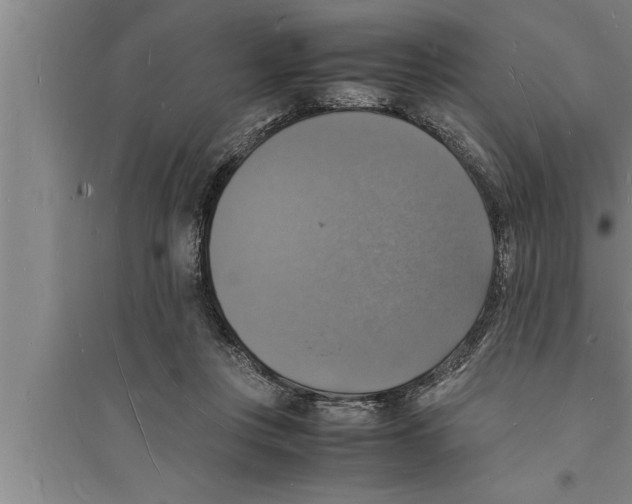 X0000094060359200711161530