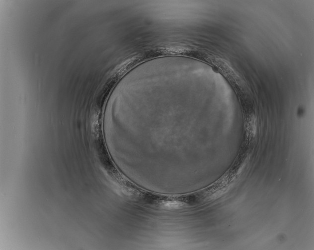 X0000094060360200711161530