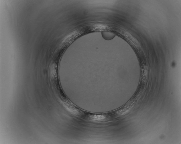 X0000094060361200711161530