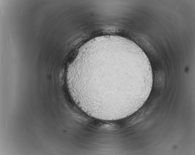 X0000094060364200711161530