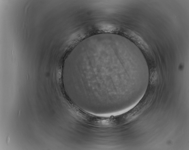 X0000094060365200711161530