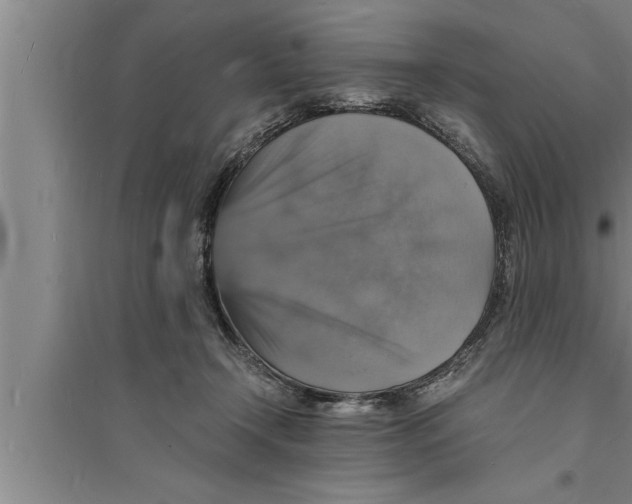 X0000094060366200711161530