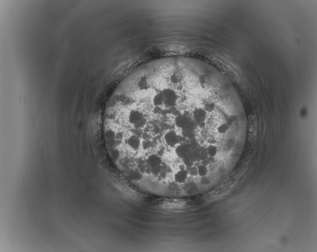 X0000094060369200711161530