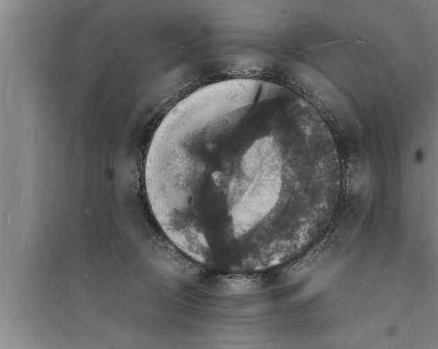 X0000094060370200711161530